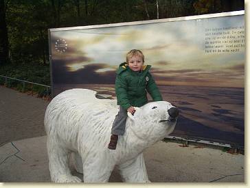 20061104-03 Paardje rijden op de ijsbeer